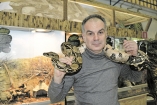 В Год змеи украинцы все чаще заводят дома рептилий